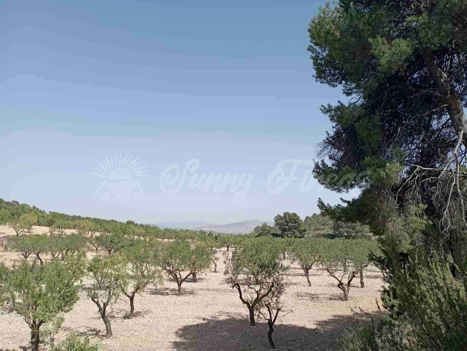 Byggegrund til salg i Raspay - € 63.000 (Ref: 7702958)