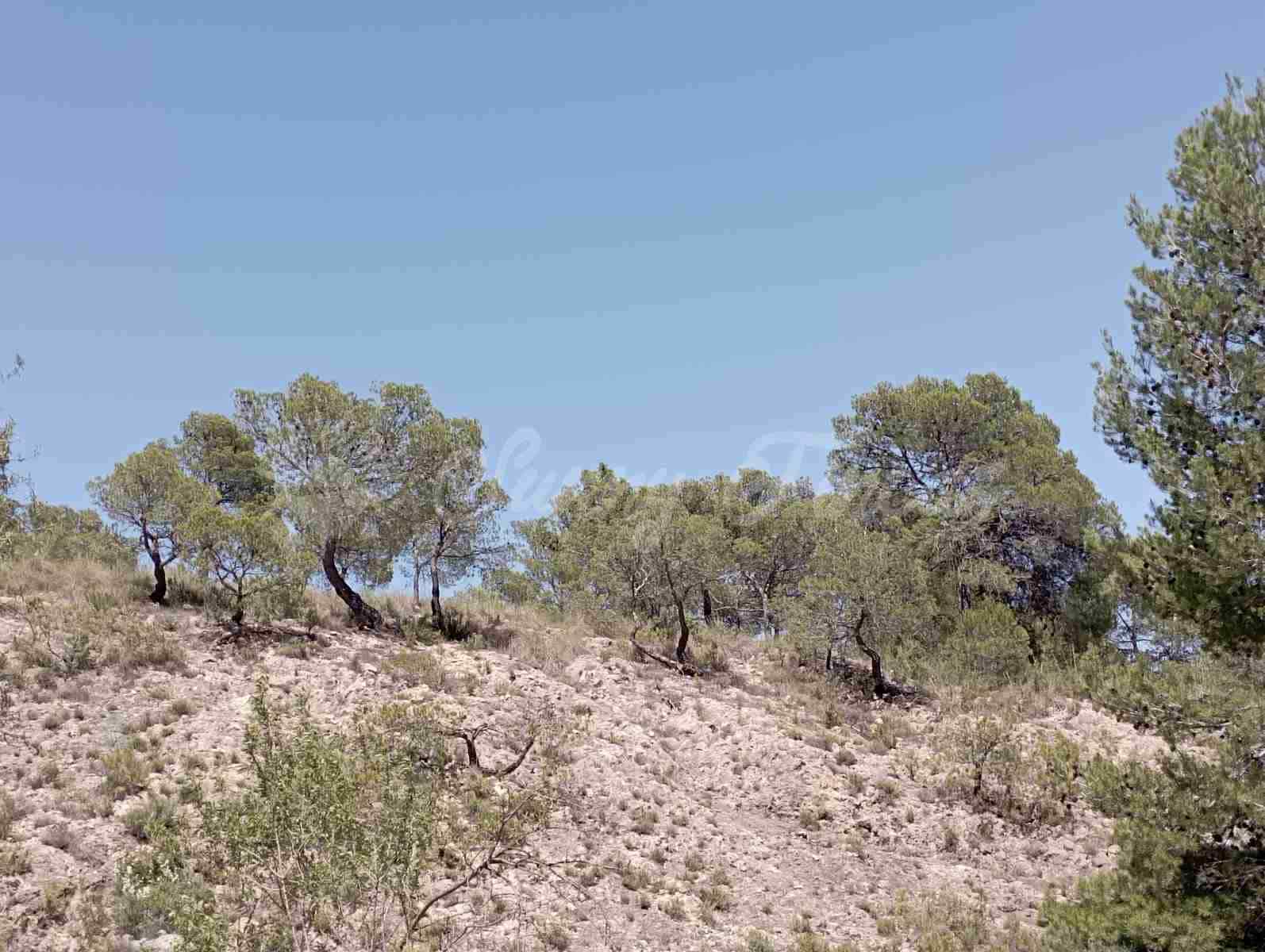 Byggegrund til salg i Raspay - € 63.000 (Ref: 7702958)