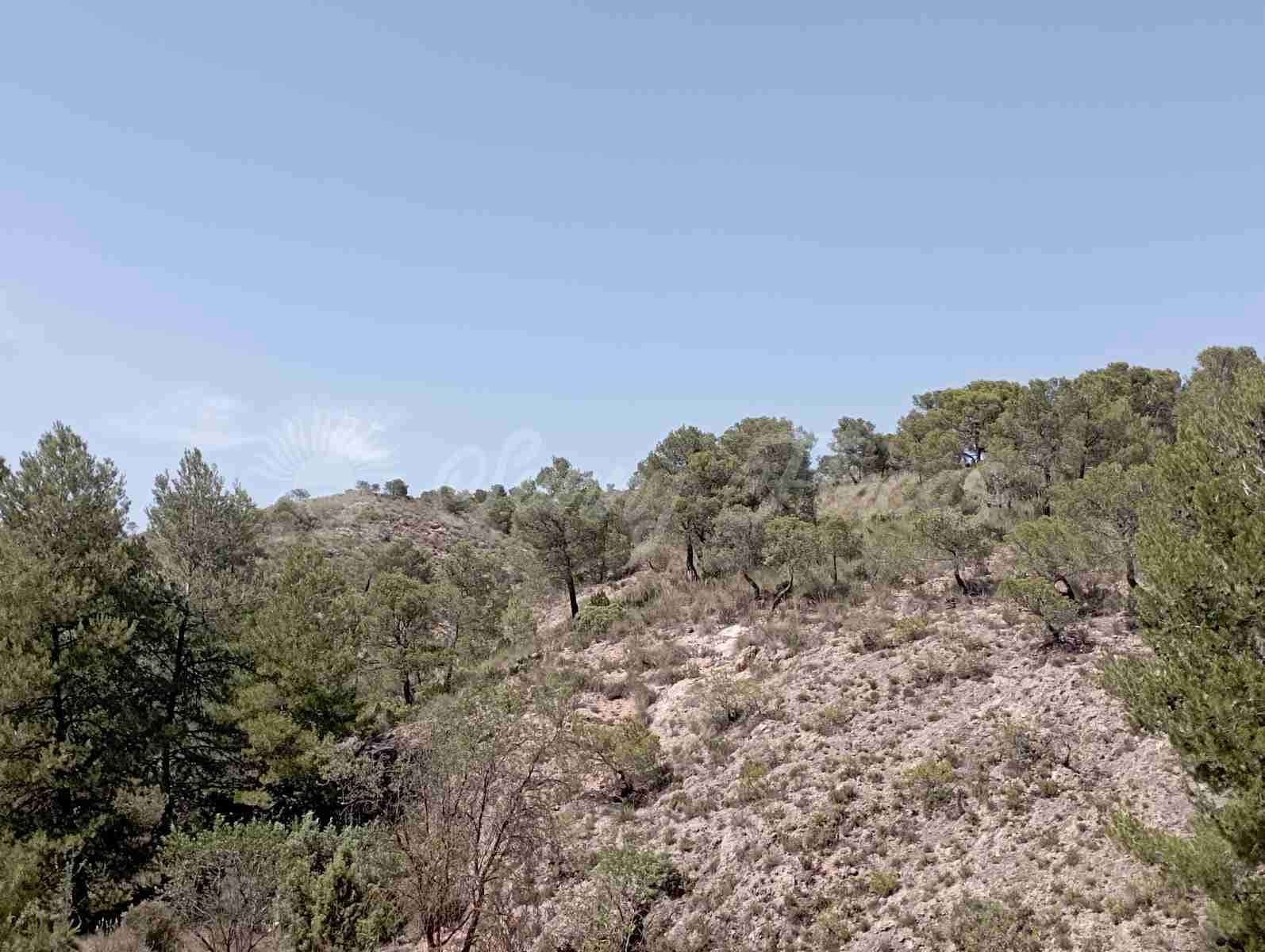 Byggegrund til salg i Raspay - € 63.000 (Ref: 7702958)