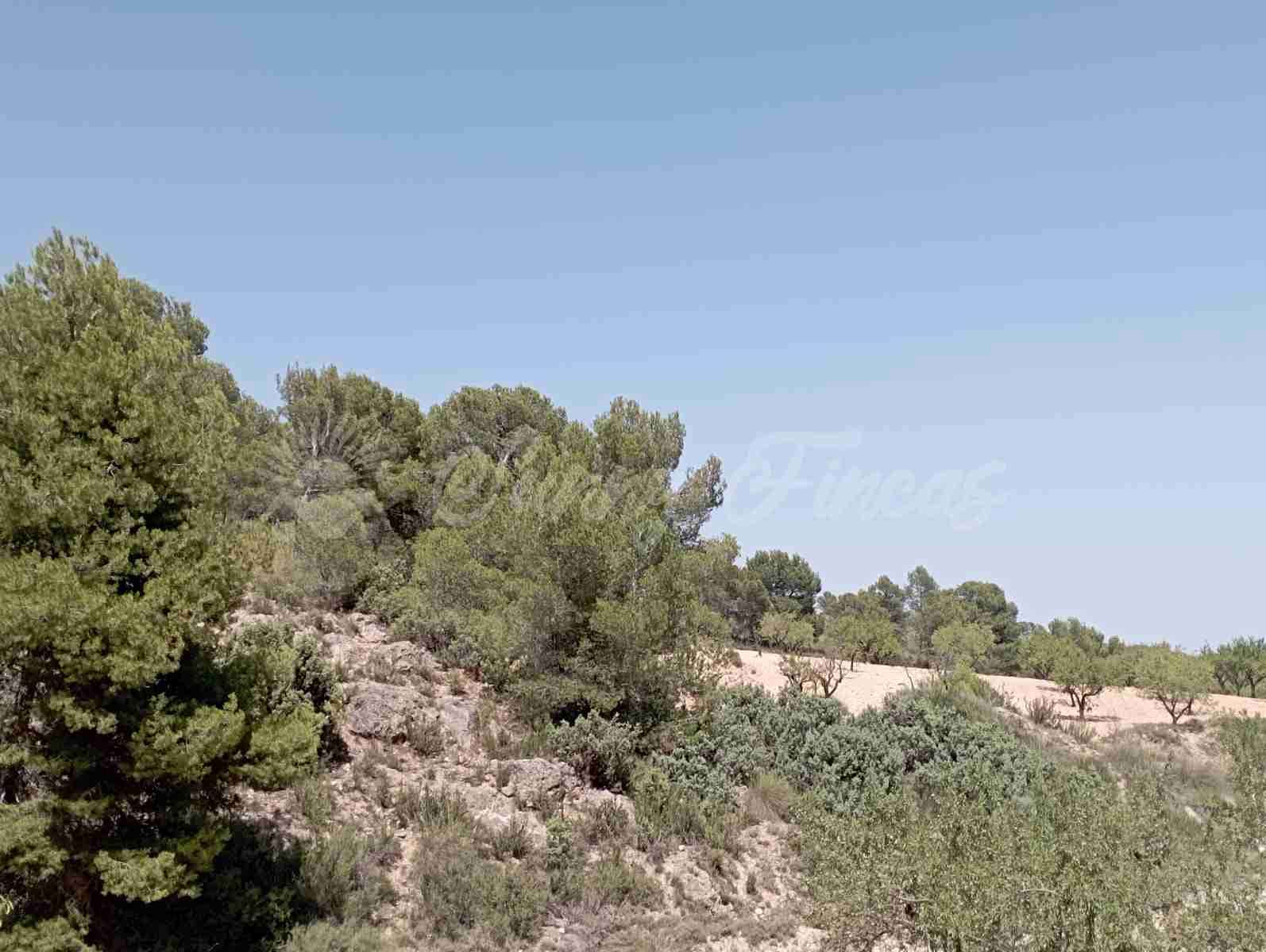 Byggegrund til salg i Raspay - € 63.000 (Ref: 7702958)