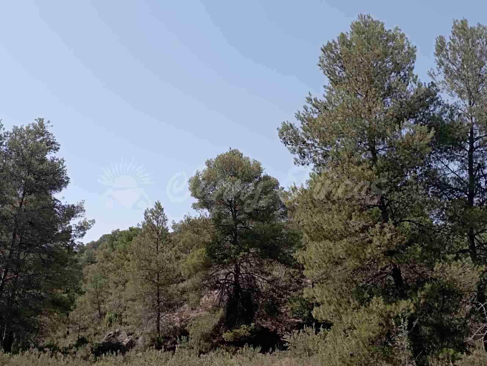 Byggegrund til salg i Raspay - € 63.000 (Ref: 7702958)