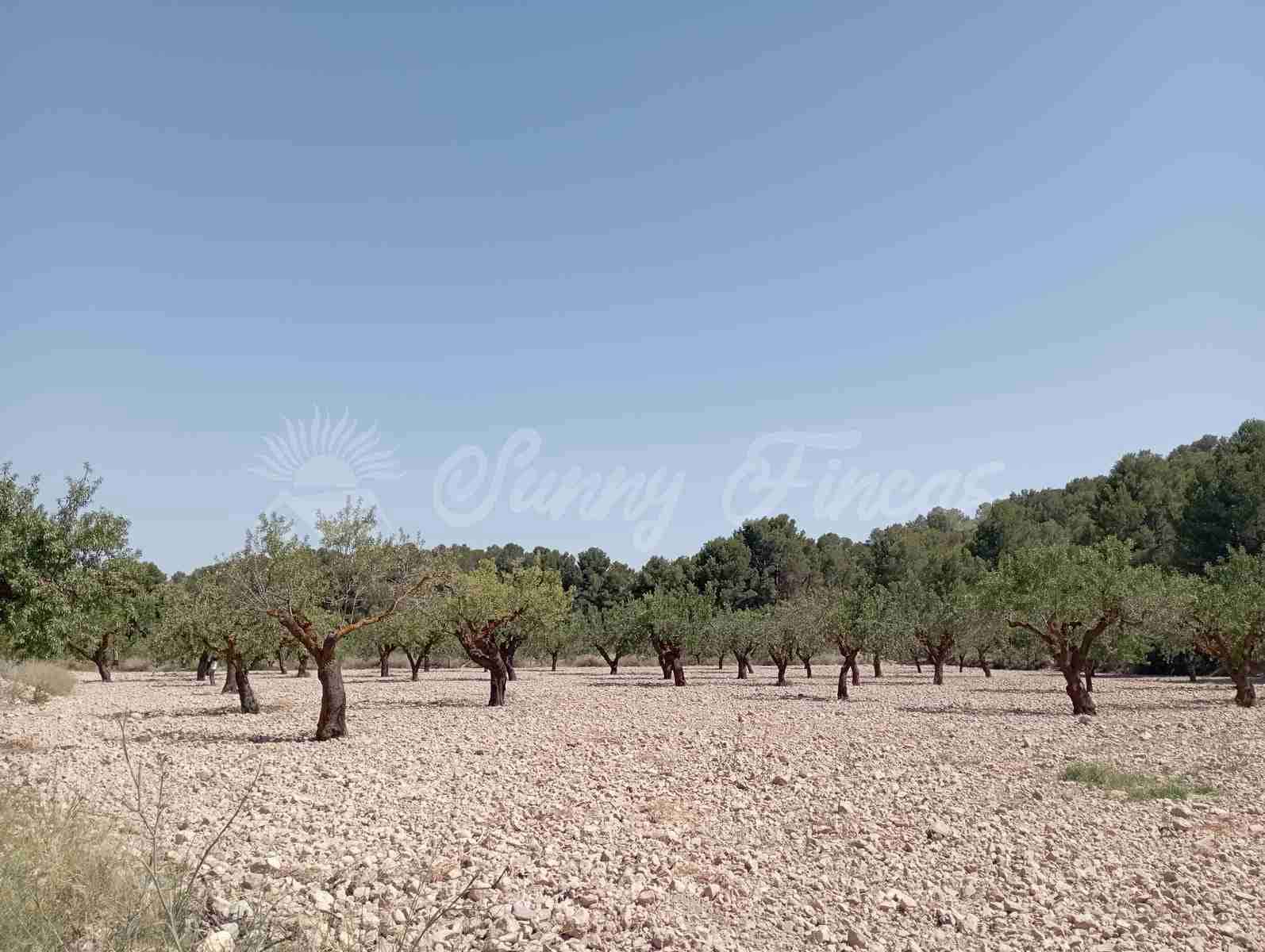 Byggegrund til salg i Raspay - € 63.000 (Ref: 7702958)