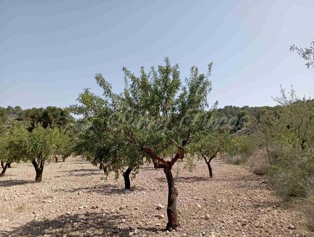 Bouwgrond te koop in Raspay, Yecla - € 63.000 (Ref: 7702958)