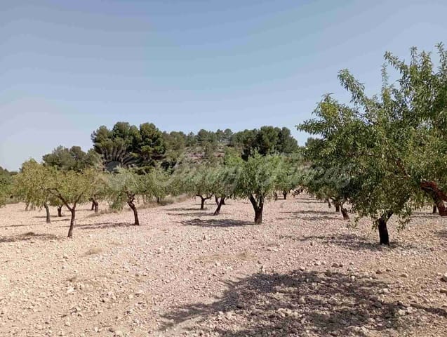 Bouwgrond te koop in Raspay, Yecla - € 63.000 (Ref: 7702958)