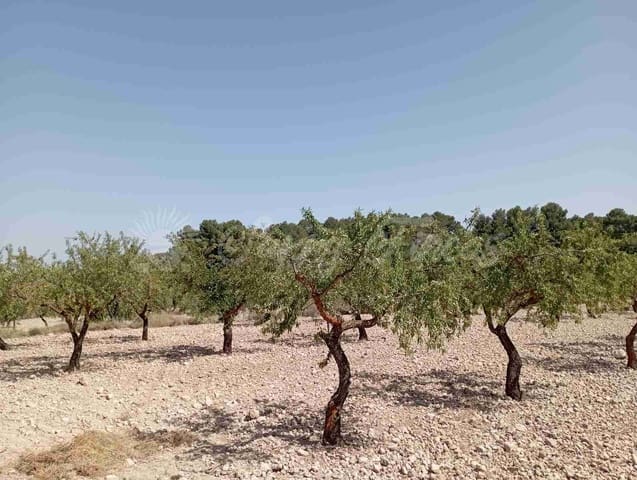 Bouwgrond te koop in Raspay, Yecla - € 27.500 (Ref: 7702962)