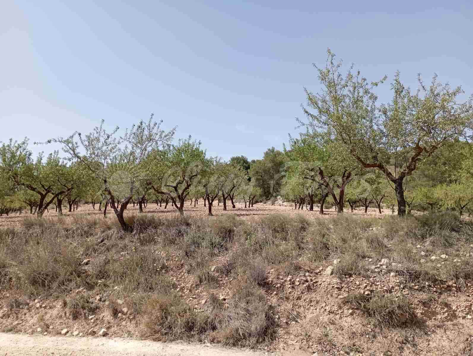 Byggegrund til salg i Raspay - € 27.500 (Ref: 7702962)