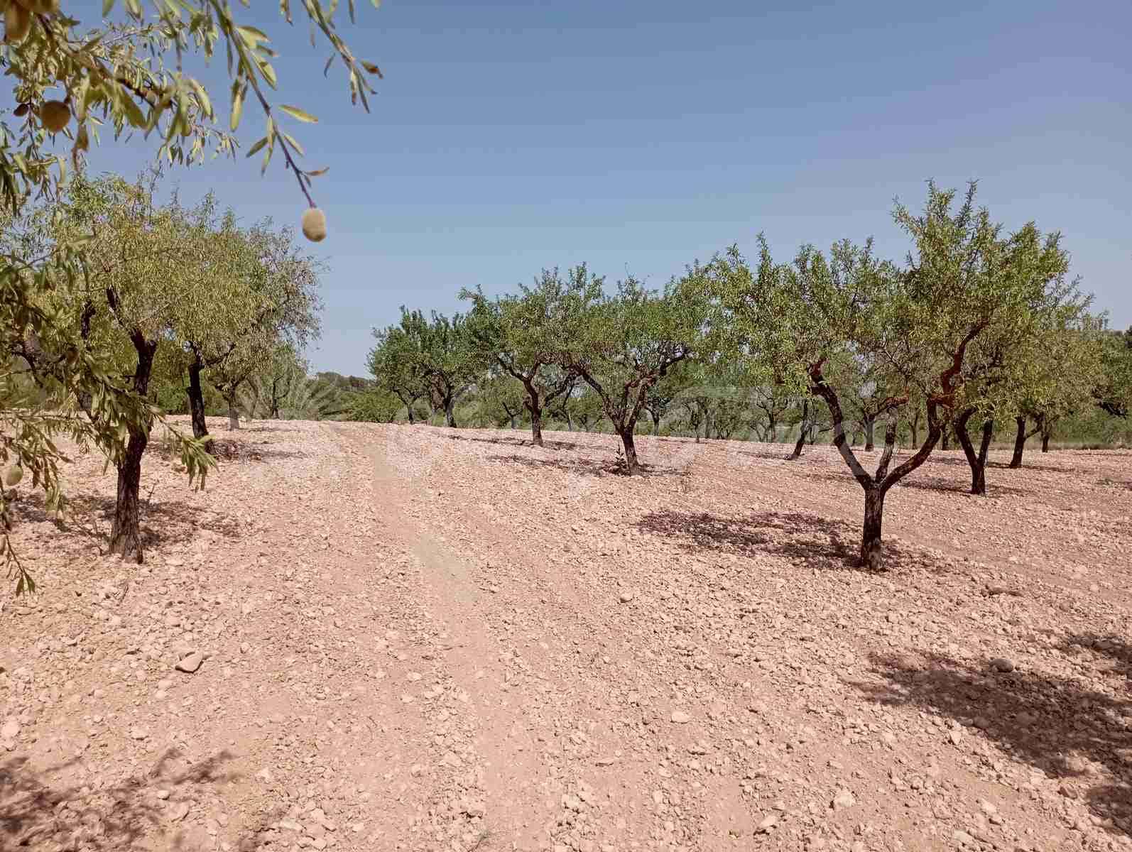 Byggegrund til salg i Raspay - € 27.500 (Ref: 7702962)