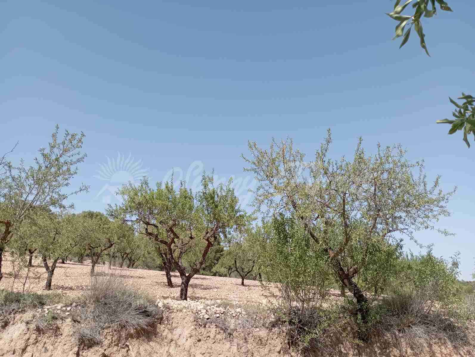 Byggegrund til salg i Raspay - € 27.500 (Ref: 7702962)