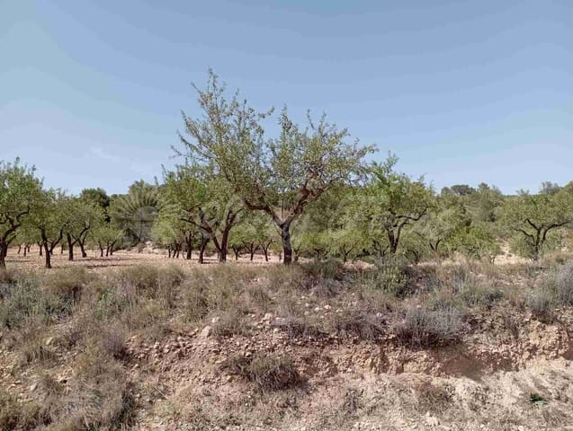 Bouwgrond te koop in Raspay, Yecla - € 27.500 (Ref: 7702962)