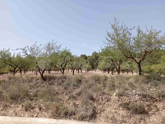 Bouwgrond te koop in Raspay, Yecla - € 27.500 (Ref: 7702962)