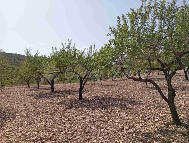 Bouwgrond te koop in Raspay, Yecla - € 27.500 (Ref: 7702962)