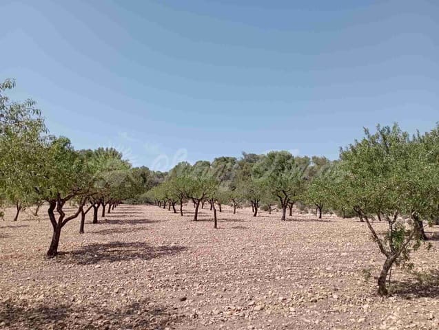 Bouwgrond te koop in Raspay, Yecla - € 27.500 (Ref: 7702962)