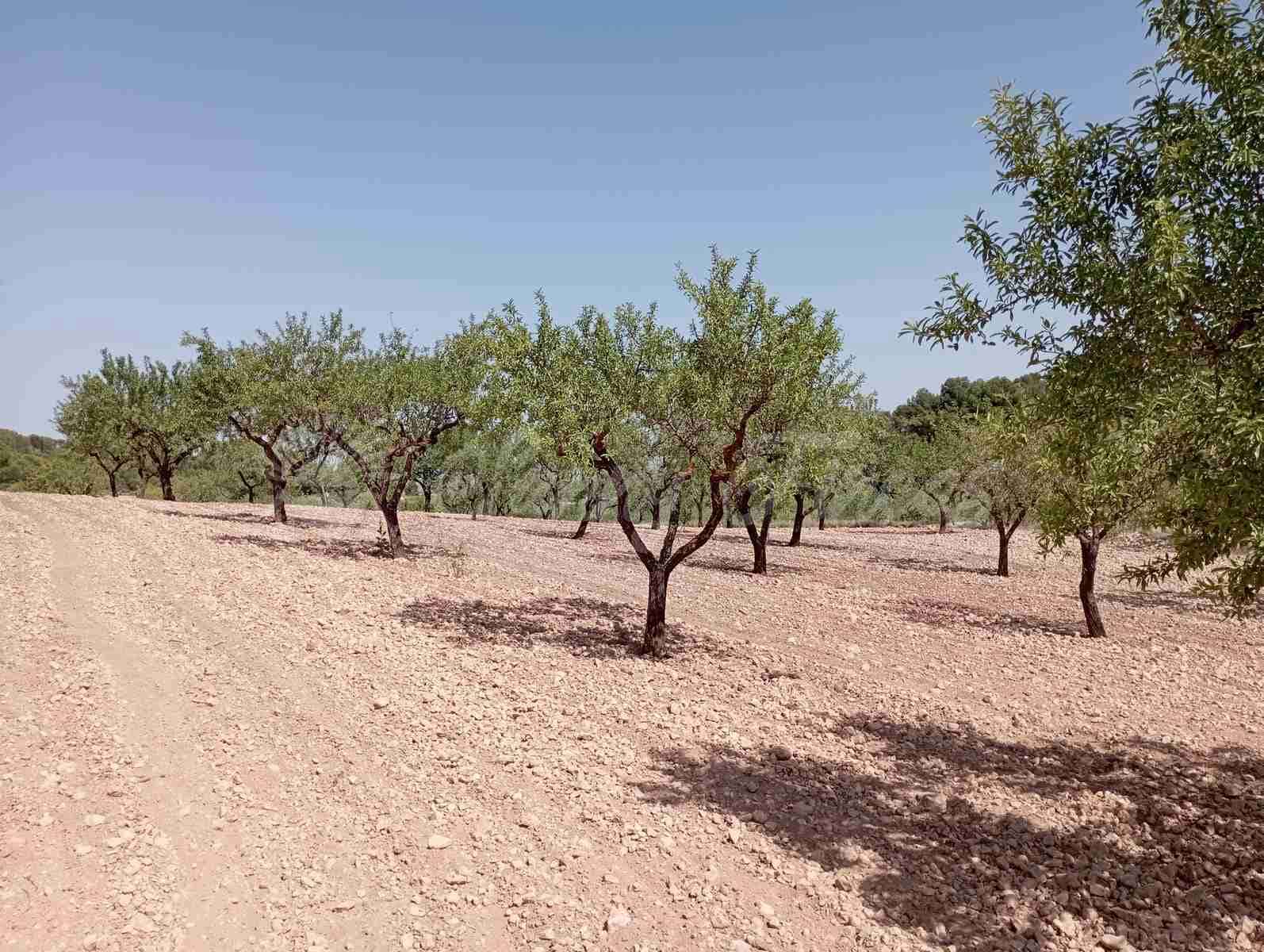 Byggegrund til salg i Raspay - € 27.500 (Ref: 7702962)