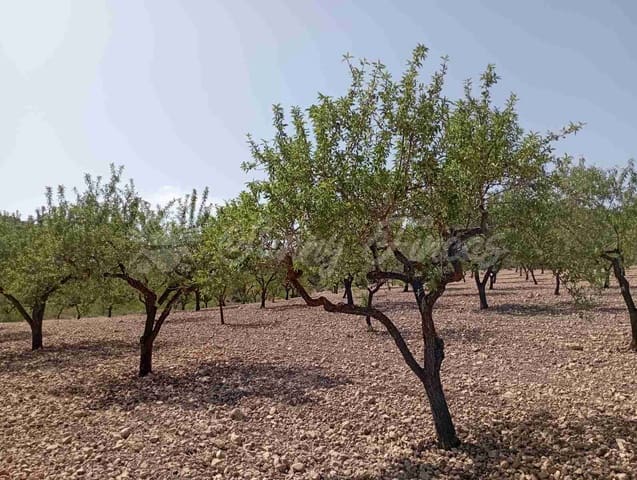 Bouwgrond te koop in Raspay, Yecla - € 27.500 (Ref: 7702962)