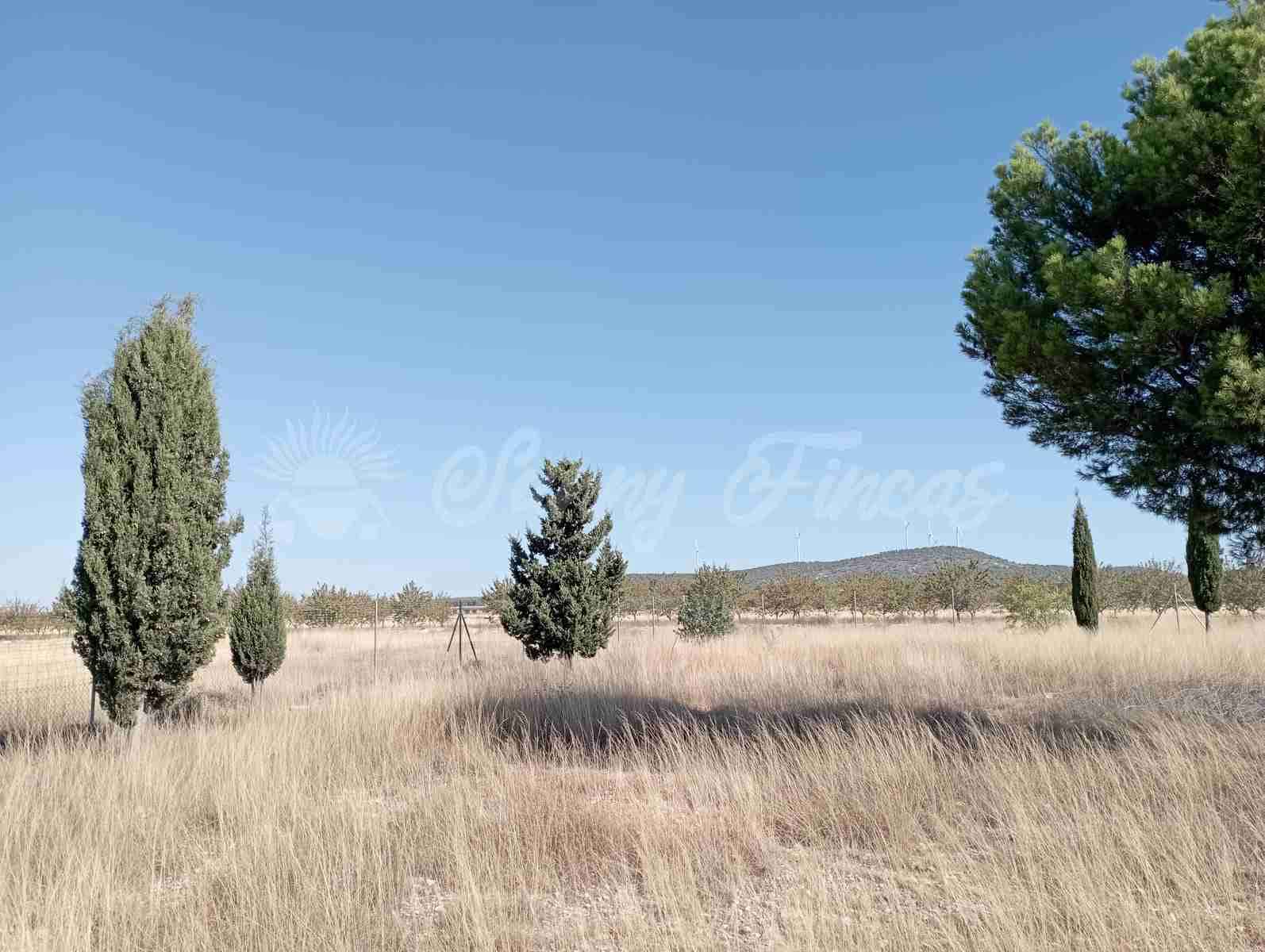 2 slaapkamer Finca/Landhuis te koop in Yecla met garage - € 73.000 (Ref: 7748850)