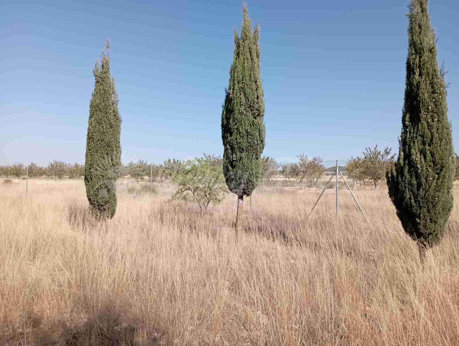 2 slaapkamer Finca/Landhuis te koop in Yecla met garage - € 73.000 (Ref: 7748850)