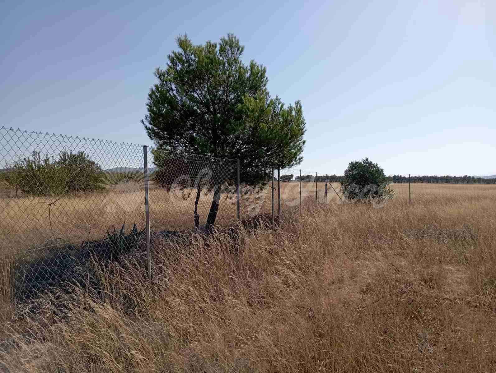 2 slaapkamer Finca/Landhuis te koop in Yecla met garage - € 73.000 (Ref: 7748850)