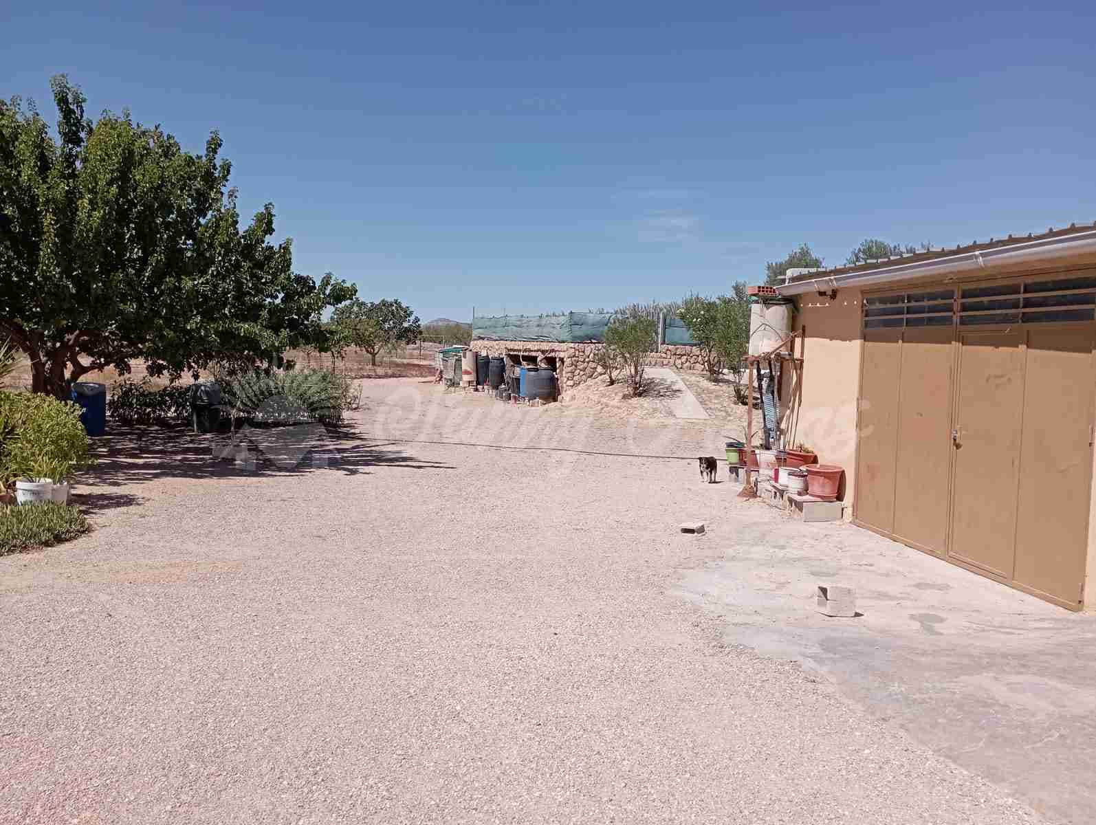 5 soverom Finca/Herregård til salgs i Yecla med svømmebasseng garasje - € 95 000 (Ref: 7788131)