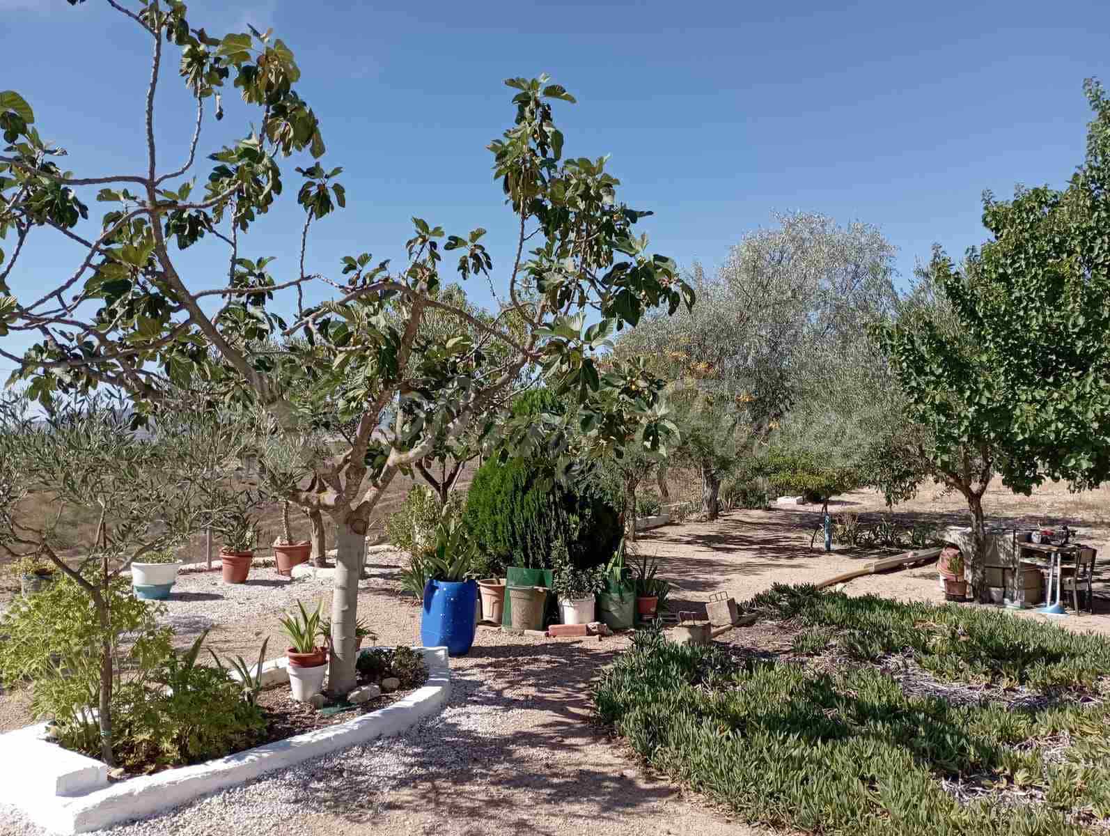 5 soverom Finca/Herregård til salgs i Yecla med svømmebasseng garasje - € 95 000 (Ref: 7788131)