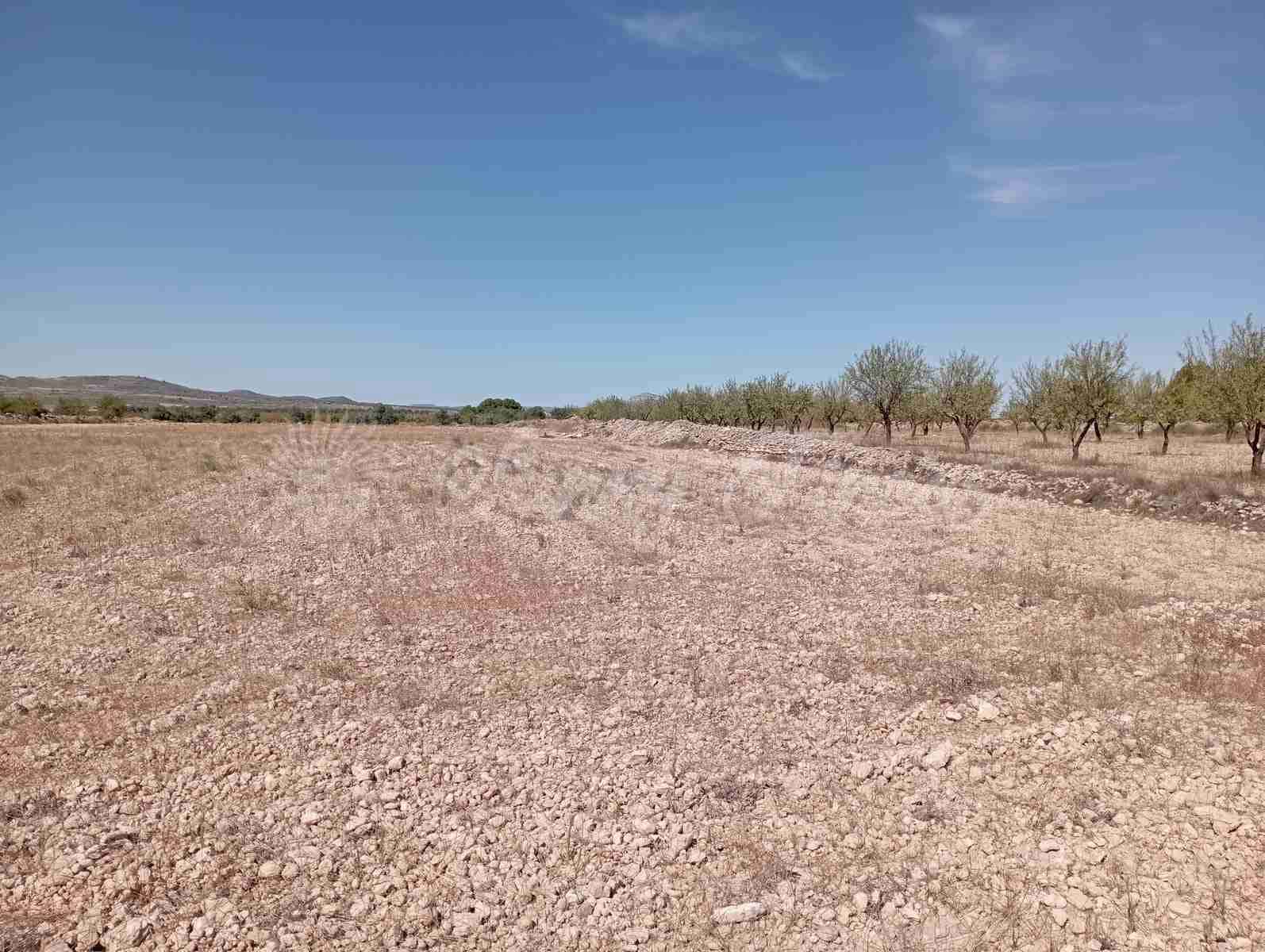 5 soverom Finca/Herregård til salgs i Yecla med svømmebasseng garasje - € 95 000 (Ref: 7788131)