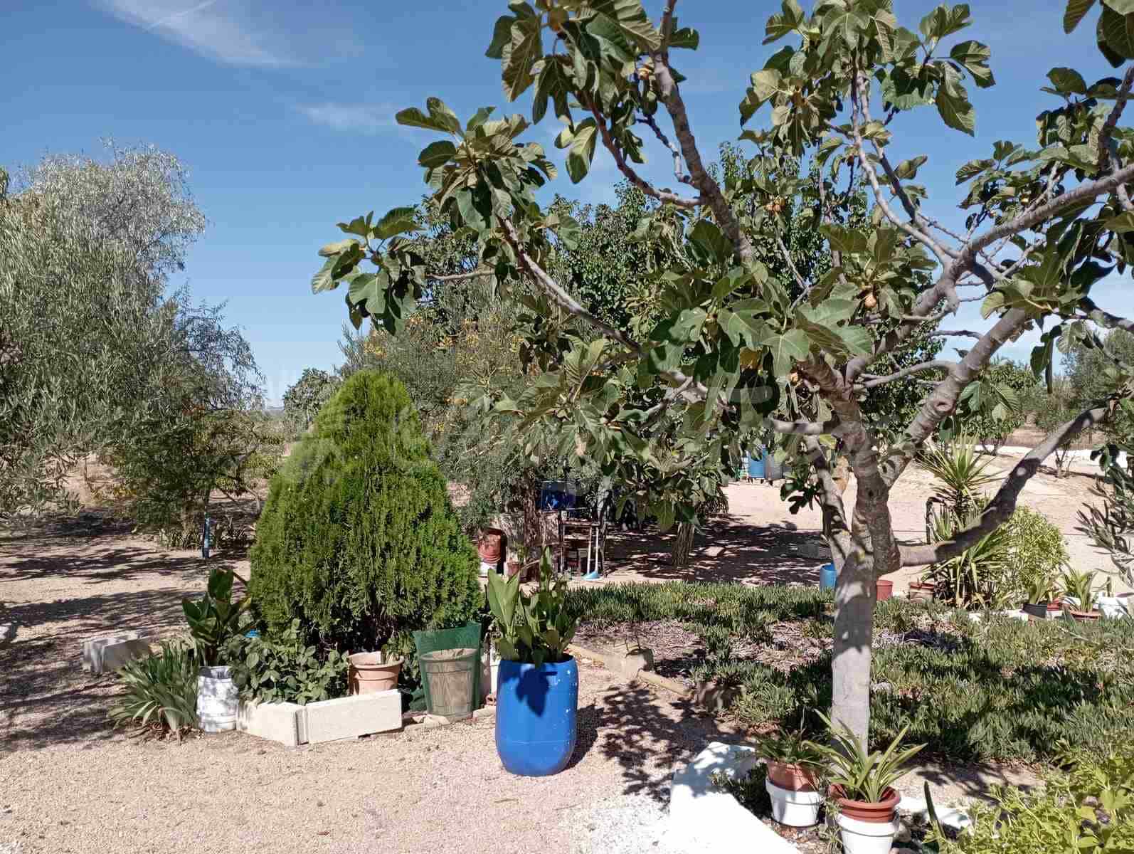 5 soverom Finca/Herregård til salgs i Yecla med svømmebasseng garasje - € 95 000 (Ref: 7788131)