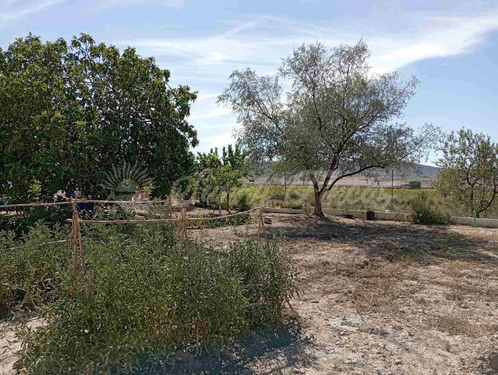 5 soverom Finca/Herregård til salgs i Yecla med svømmebasseng garasje - € 95 000 (Ref: 7788131)