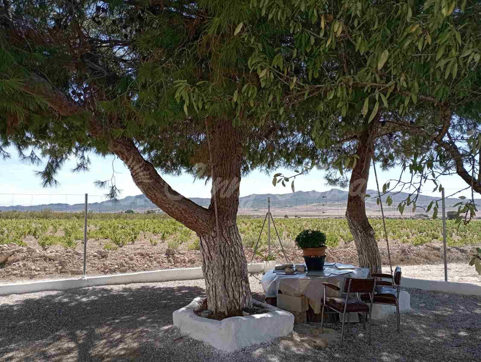 5 soverom Finca/Herregård til salgs i Yecla med svømmebasseng garasje - € 95 000 (Ref: 7788131)