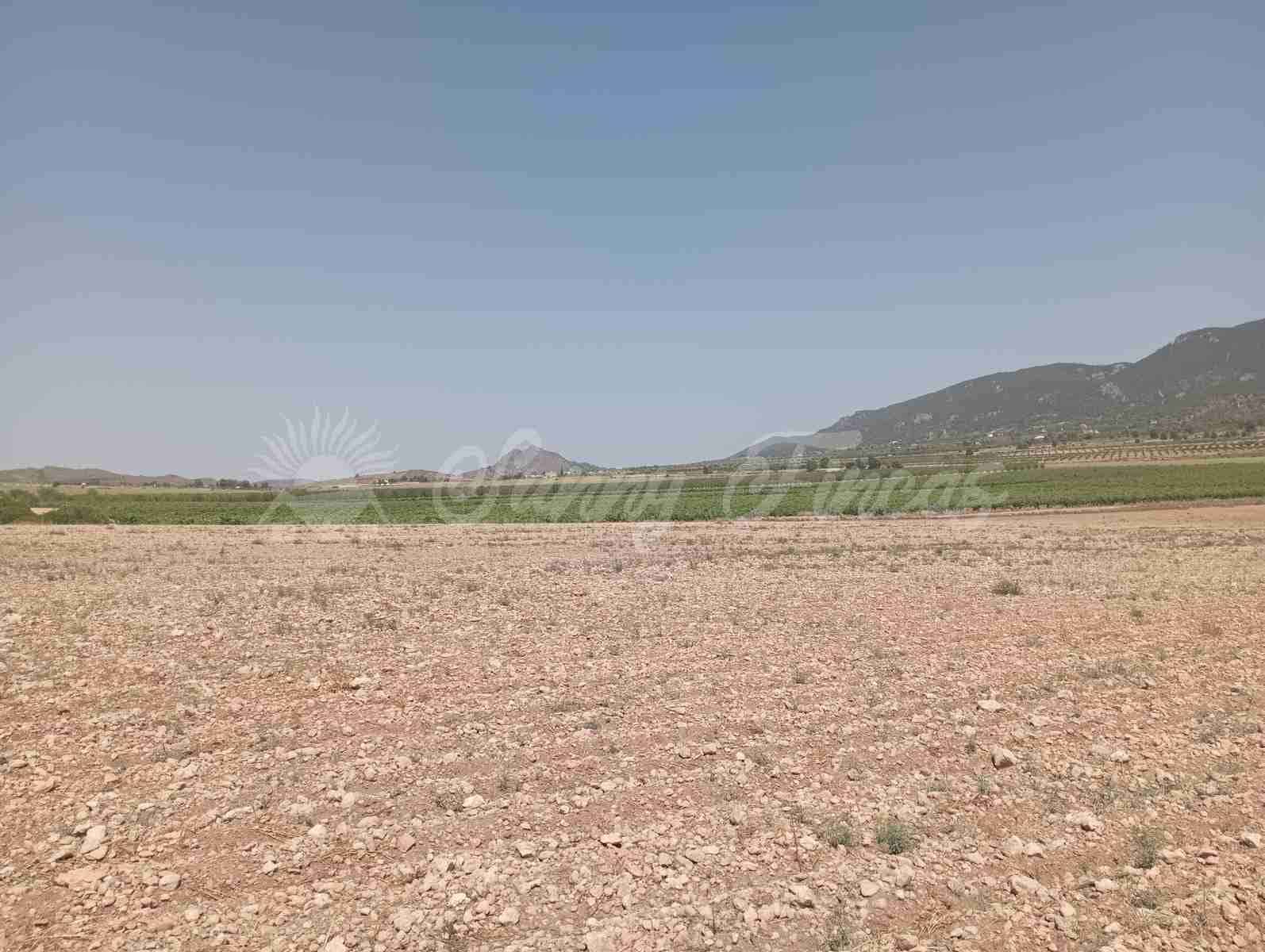 Byggegrund til salg i Yecla - € 39.000 (Ref: 7797817)