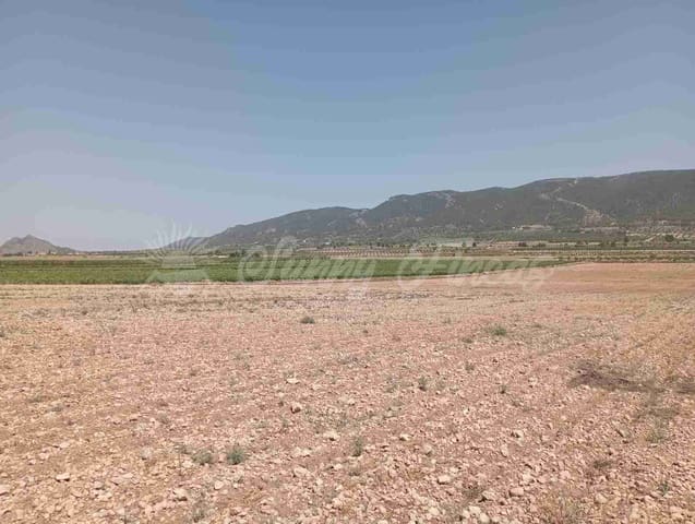 Tomt till salu i Yecla - 39 000 € (Ref: 7797817)