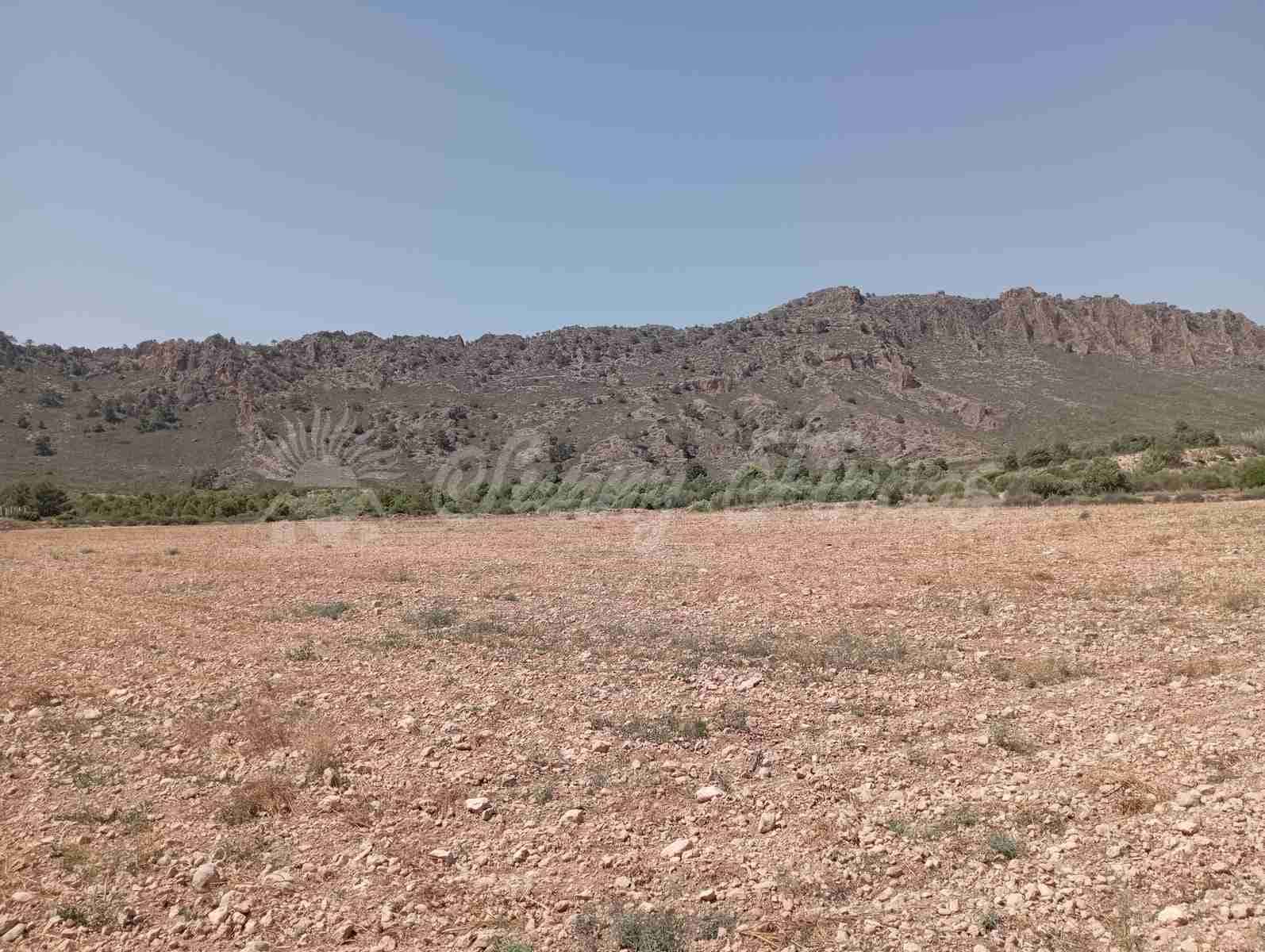 Byggegrund til salg i Yecla - € 39.000 (Ref: 7797817)