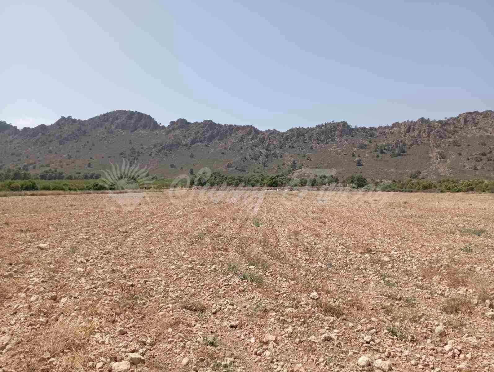 Byggegrund til salg i Yecla - € 39.000 (Ref: 7797817)