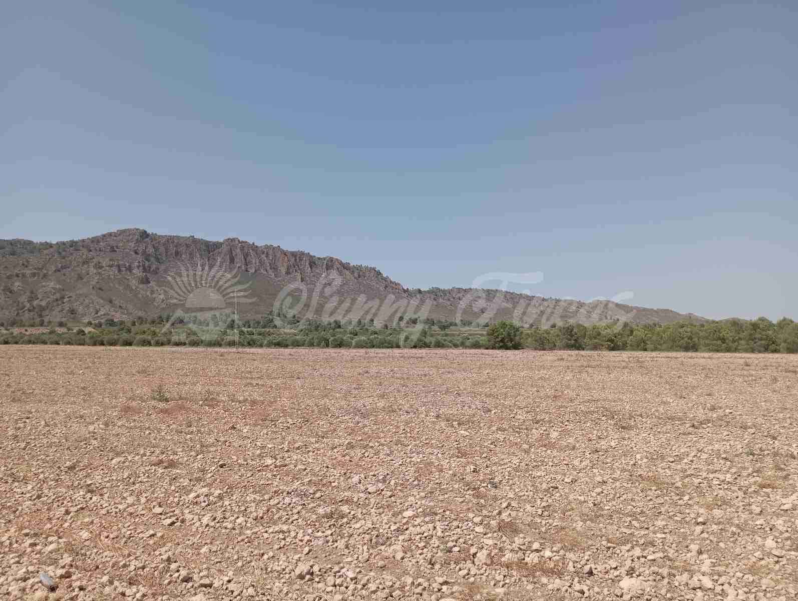Byggegrund til salg i Yecla - € 39.000 (Ref: 7797817)