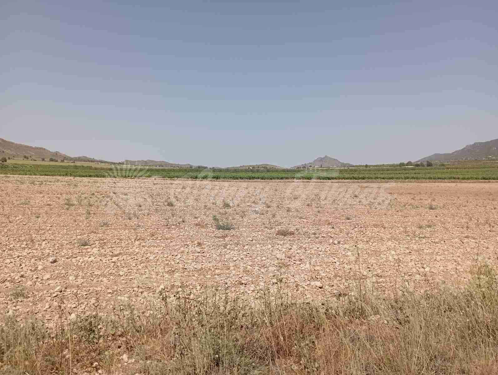 Byggegrund til salg i Yecla - € 39.000 (Ref: 7797817)