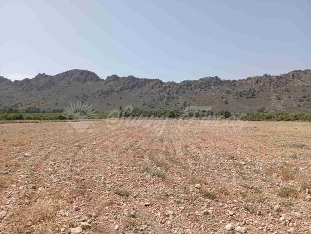 Tomt till salu i Yecla - 39 000 € (Ref: 7797817)