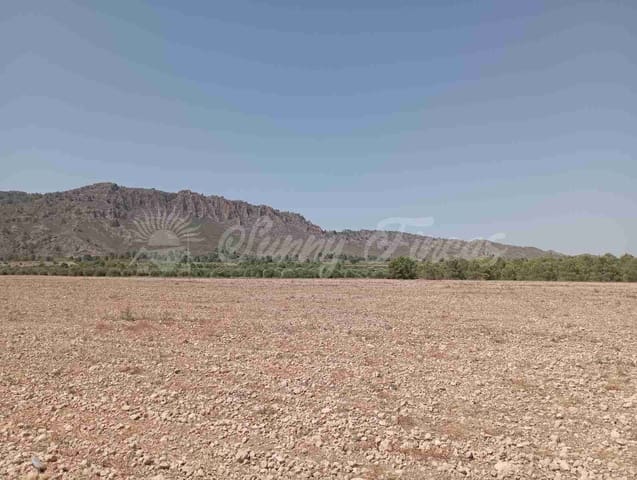 Tomt till salu i Yecla - 39 000 € (Ref: 7797817)