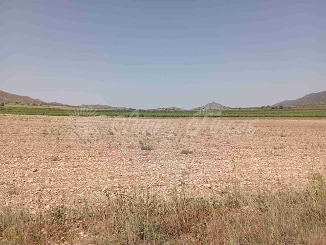 Tomt till salu i Yecla - 39 000 € (Ref: 7797817)