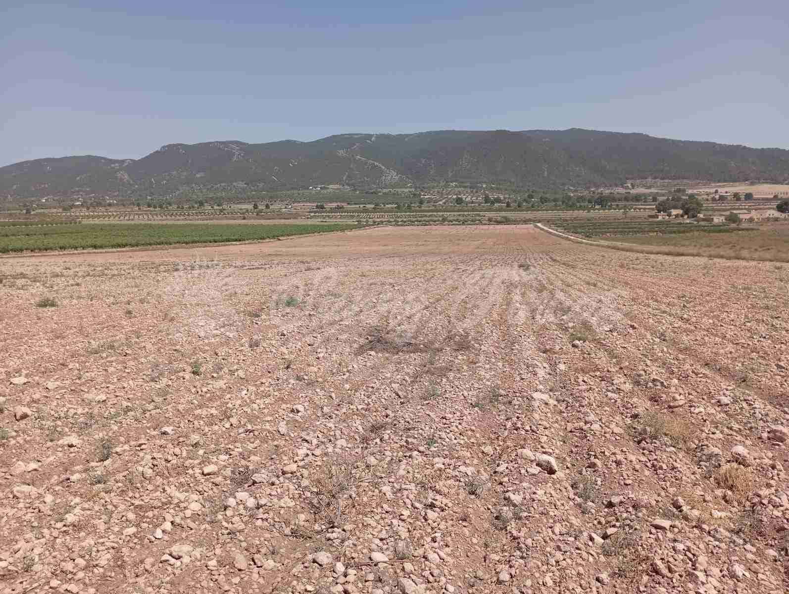 Byggegrund til salg i Yecla - € 39.000 (Ref: 7797817)