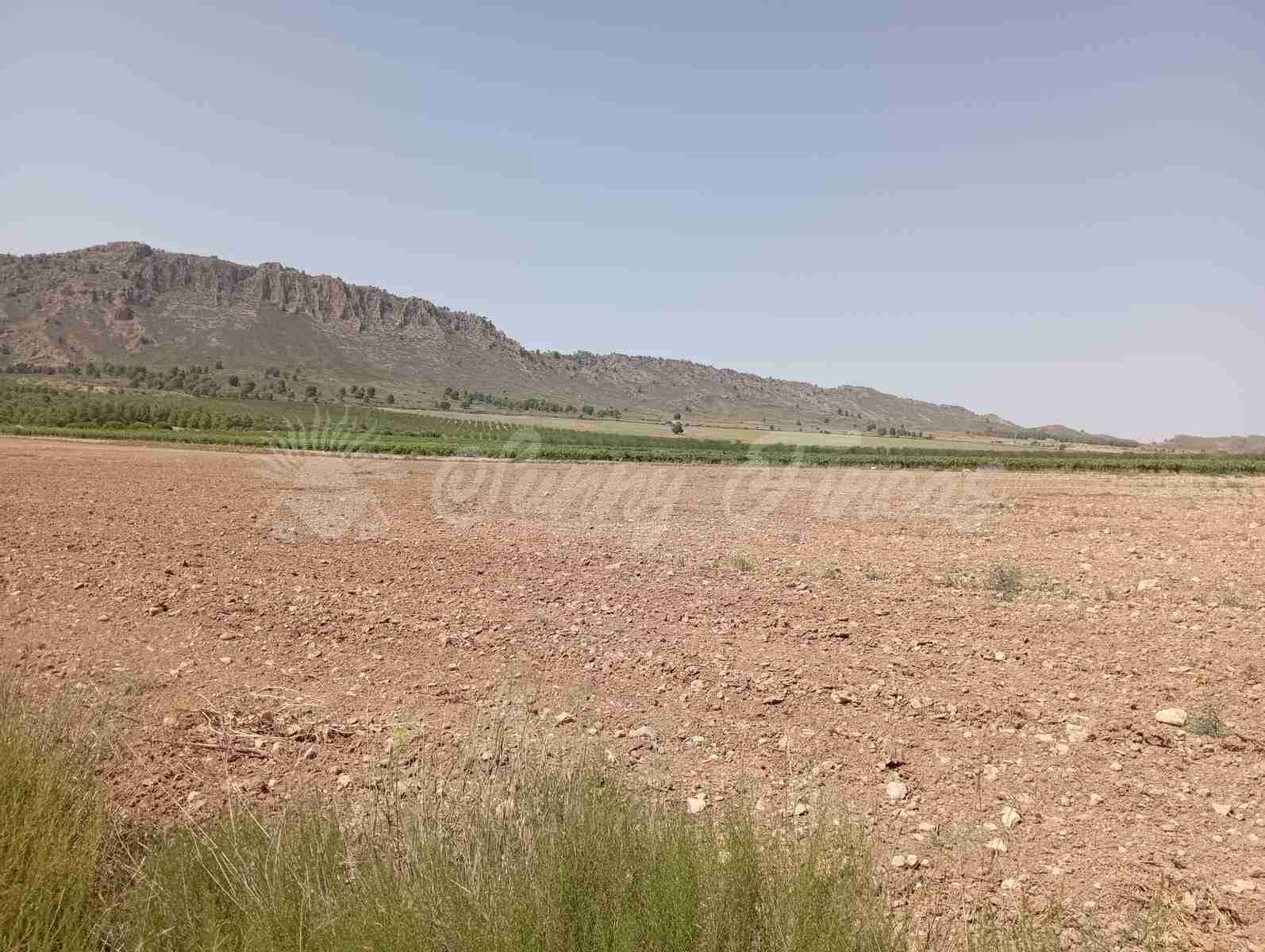 Byggegrund til salg i Yecla - € 39.000 (Ref: 7797817)