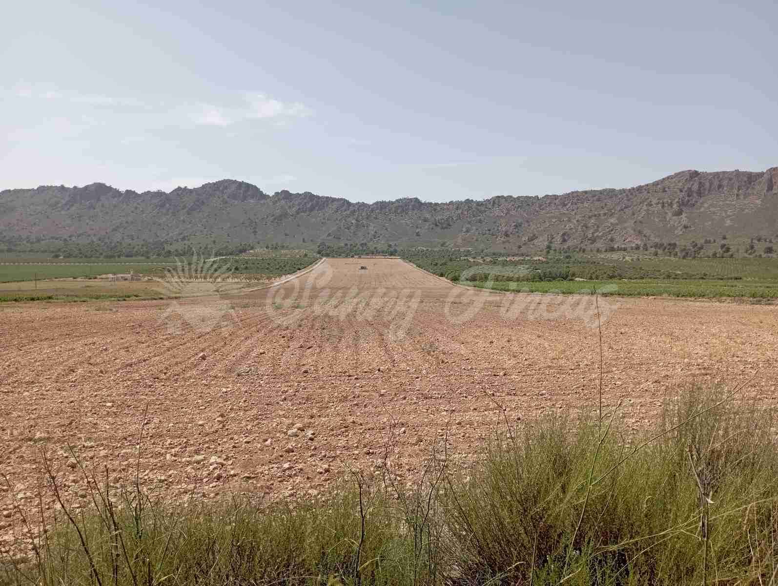 Byggegrund til salg i Yecla - € 39.000 (Ref: 7797817)