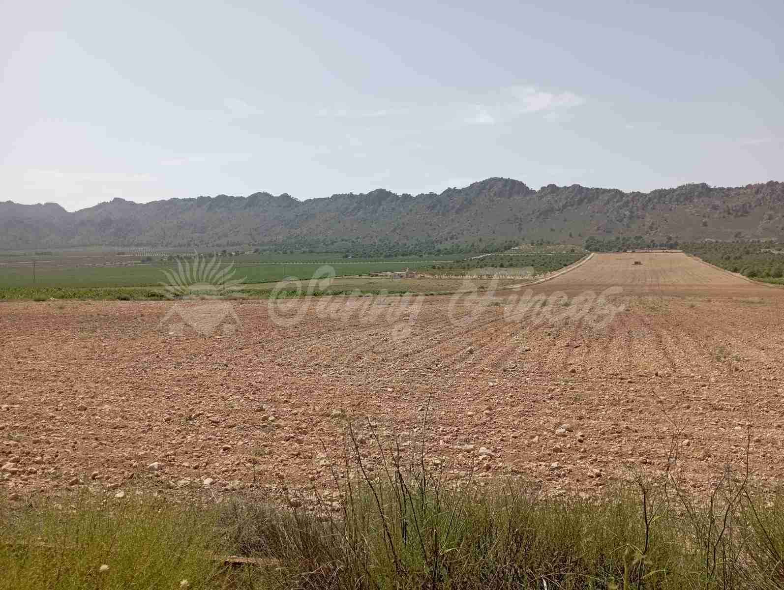 Byggegrund til salg i Yecla - € 39.000 (Ref: 7797817)