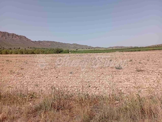 Tomt till salu i Yecla - 39 000 € (Ref: 7797817)