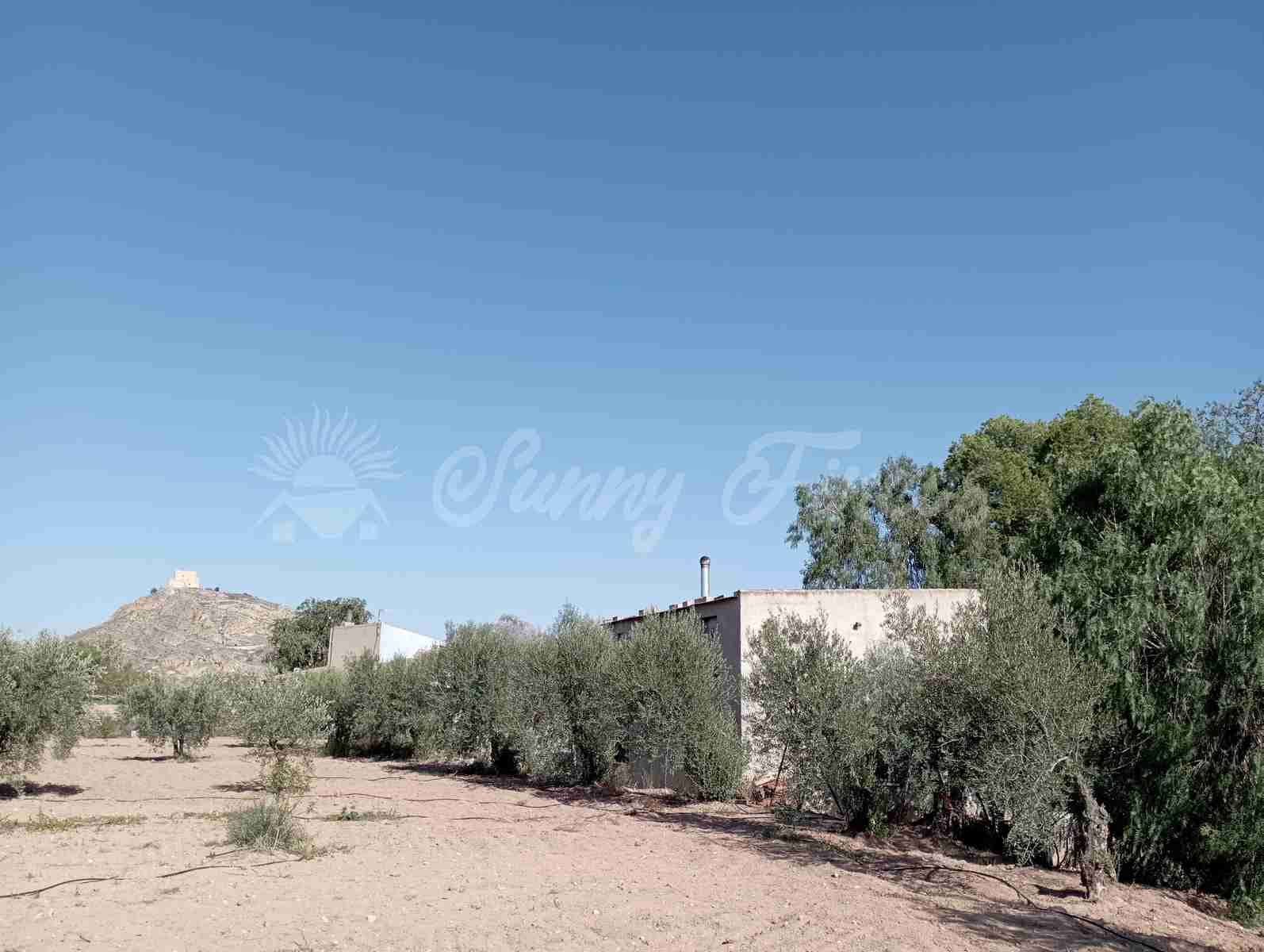 3 soverom Finca/Herregård til salgs i Jumilla med garasje - € 148 000 (Ref: 7852575)