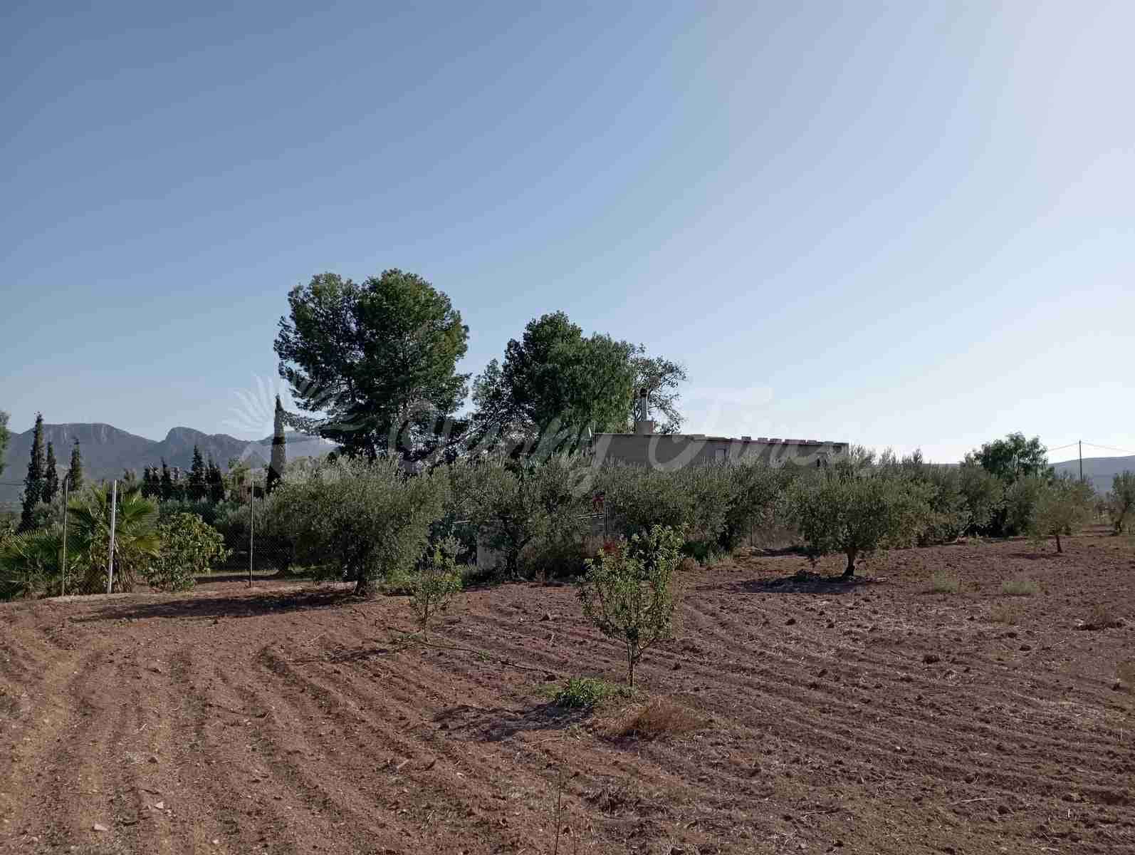 3 soverom Finca/Herregård til salgs i Jumilla med garasje - € 148 000 (Ref: 7852575)