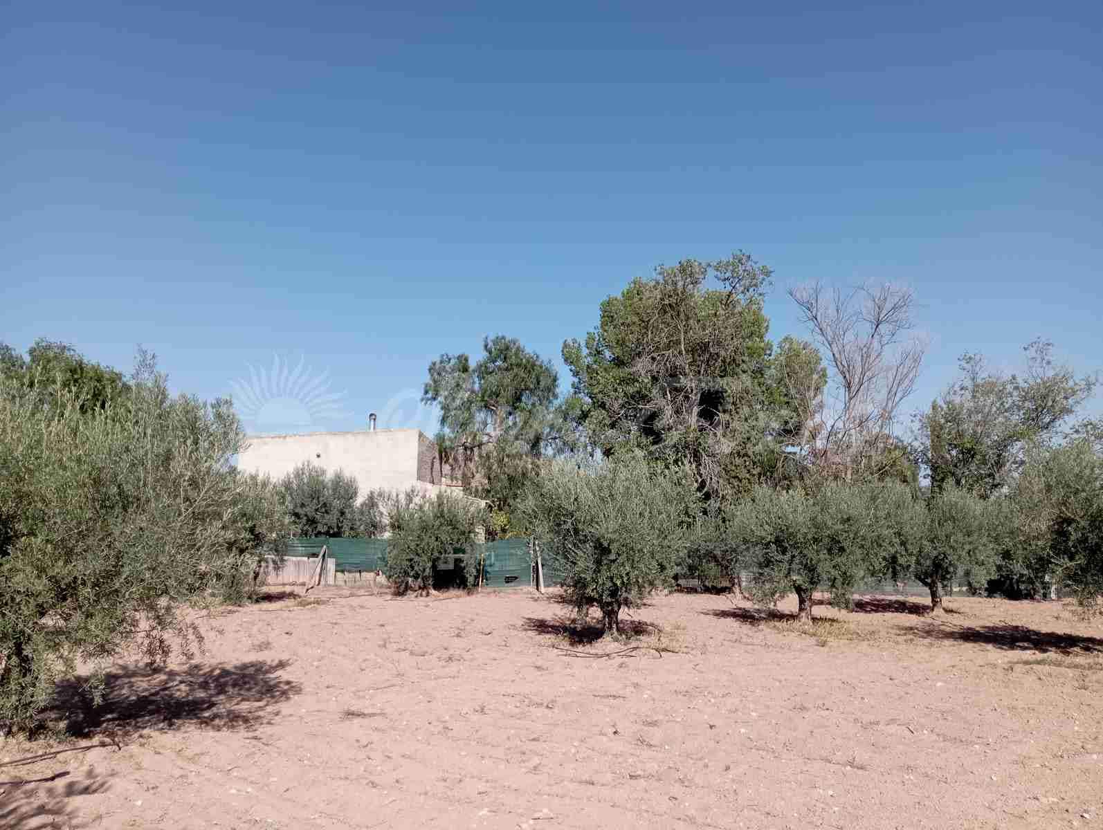 3 soverom Finca/Herregård til salgs i Jumilla med garasje - € 148 000 (Ref: 7852575)