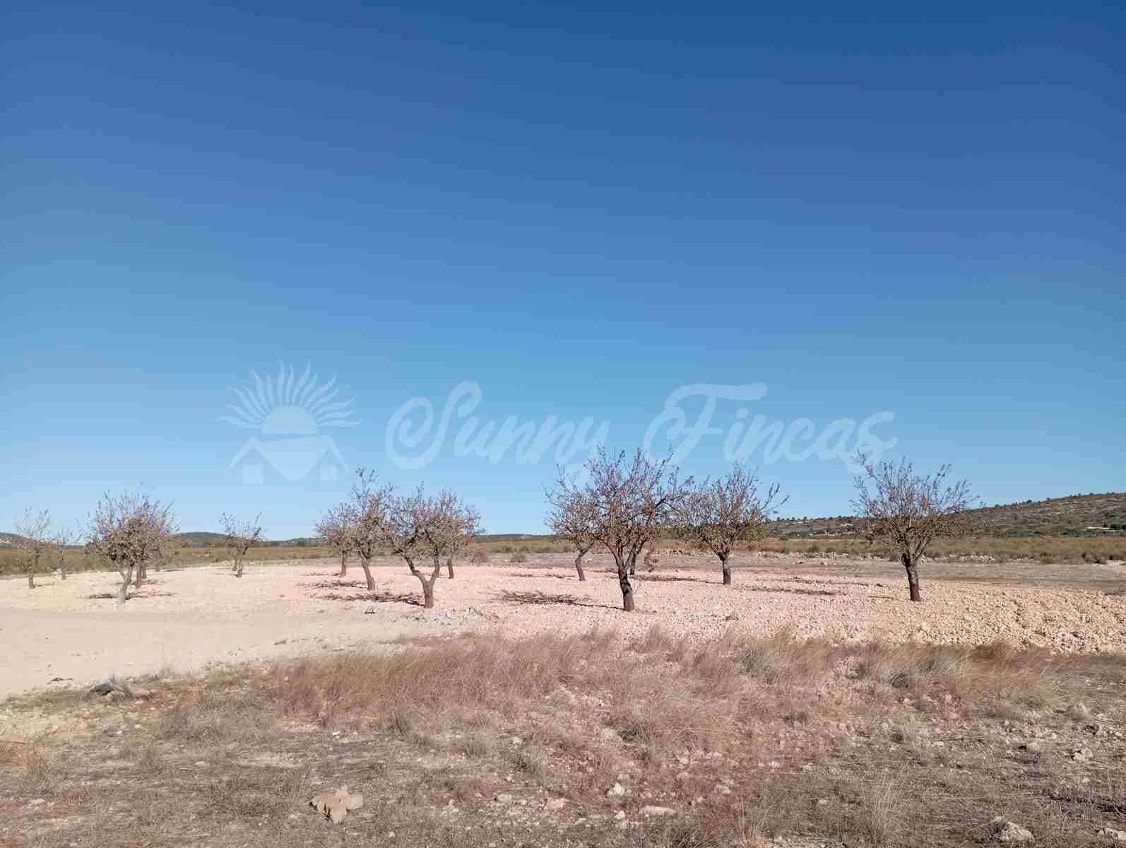 Finca/Landehus til salg i Caudete - € 29.995 (Ref: 7891820)