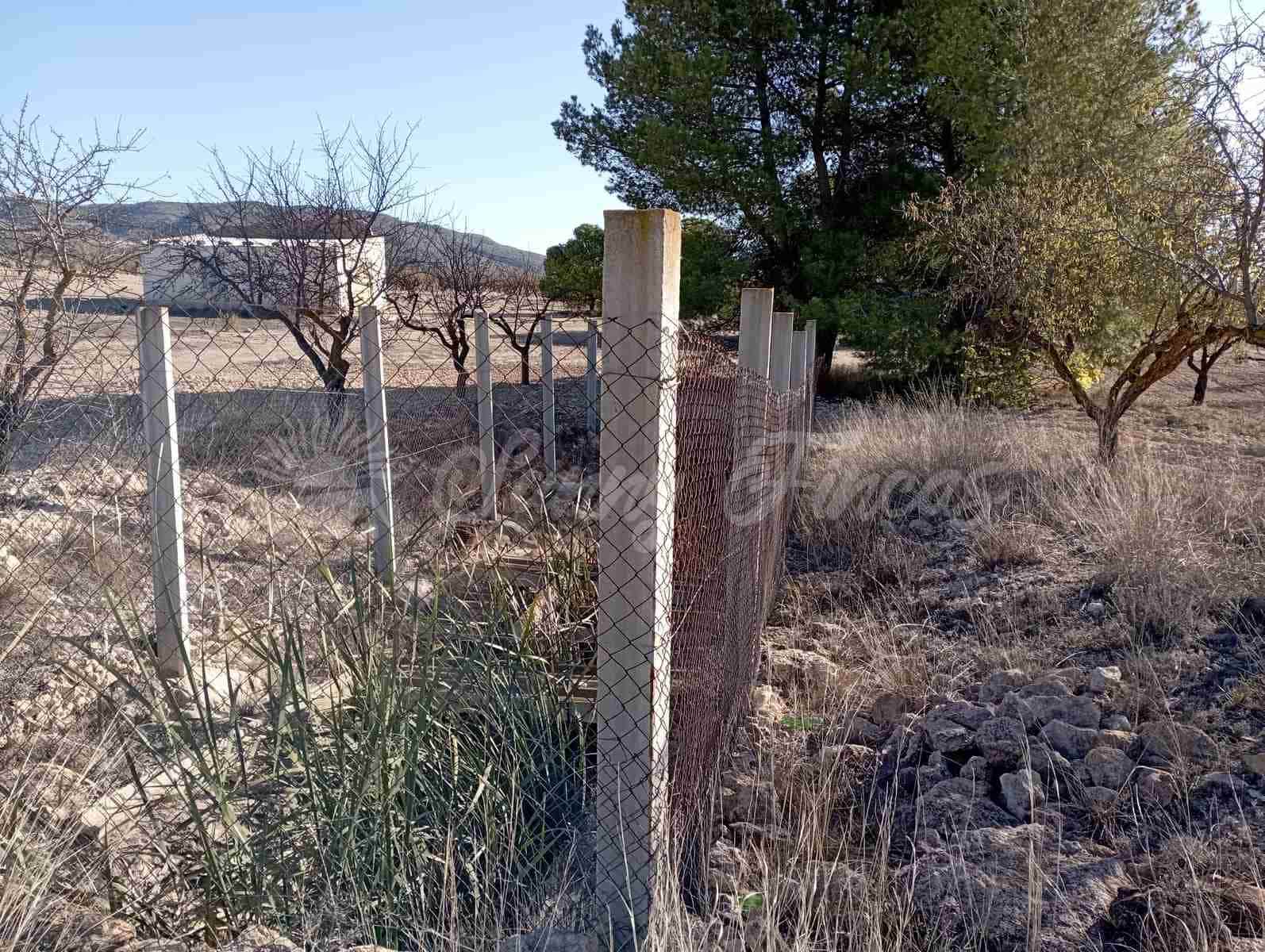 Finca/Landehus til salg i Caudete - € 29.995 (Ref: 7891820)