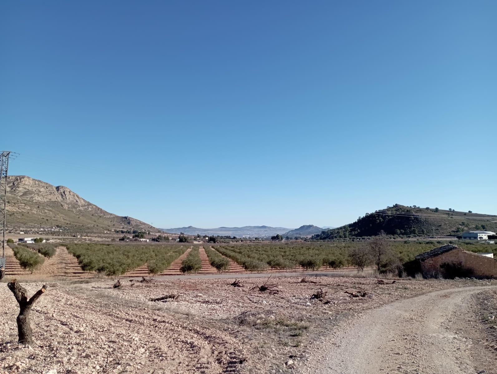 4 sypialnia Finka/Dom wiejski na sprzedaż w Yecla z garażem - 500 000 € (Ref: 8061872)