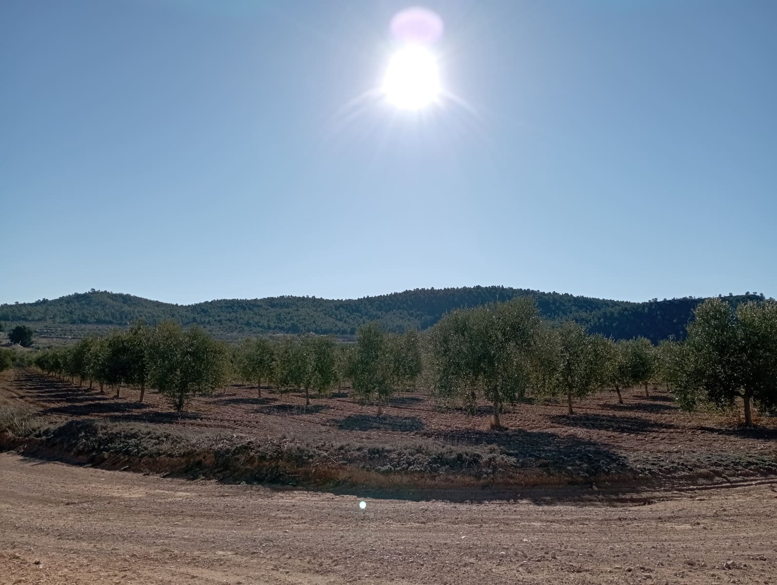 4 sypialnia Finka/Dom wiejski na sprzedaż w Yecla z garażem - 500 000 € (Ref: 8061872)