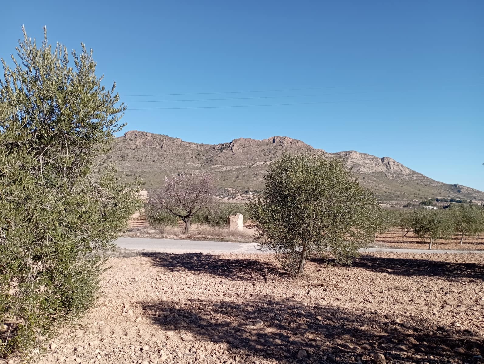 4 sypialnia Finka/Dom wiejski na sprzedaż w Yecla z garażem - 500 000 € (Ref: 8061872)