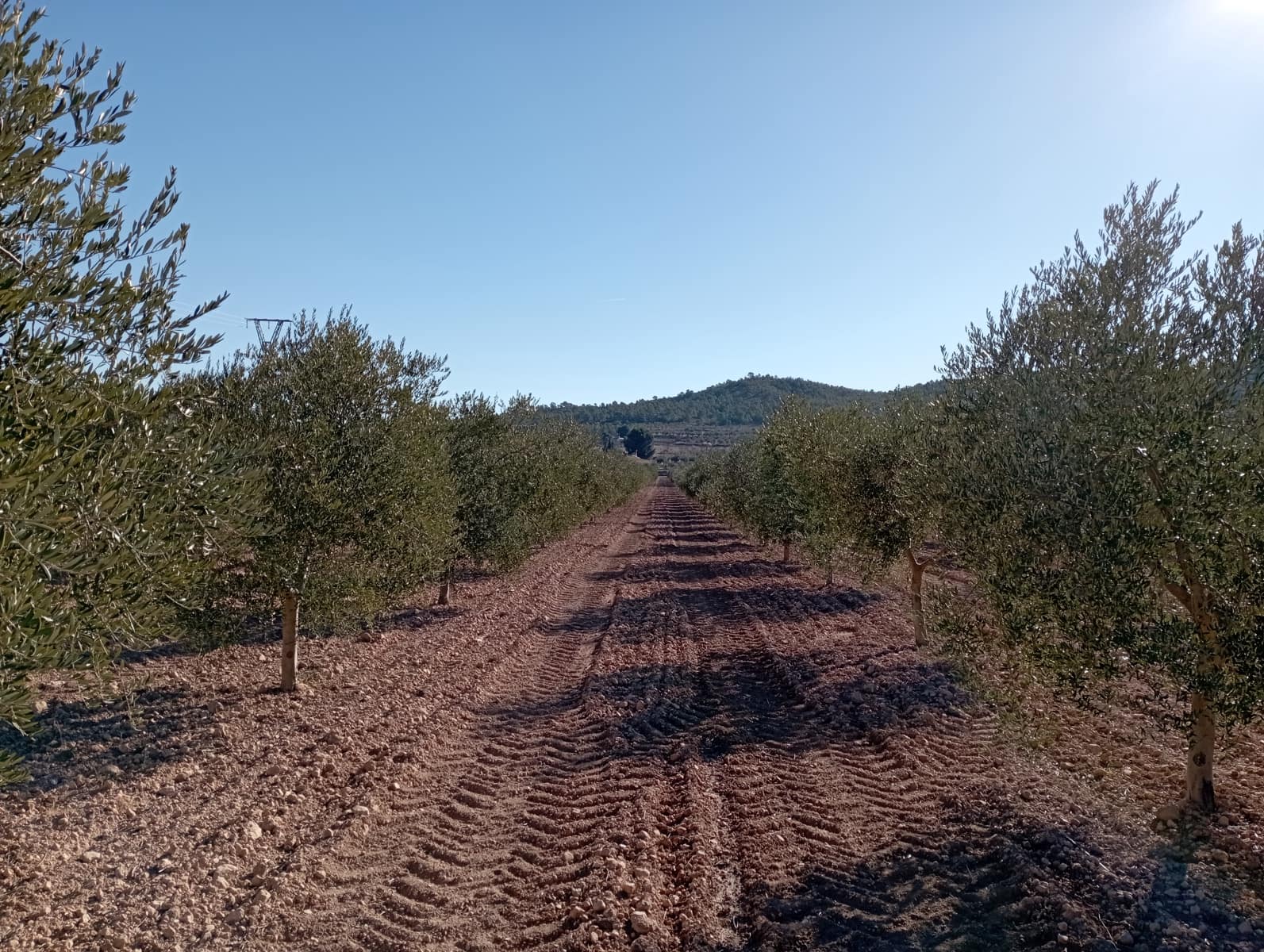 4 sypialnia Finka/Dom wiejski na sprzedaż w Yecla z garażem - 500 000 € (Ref: 8061872)